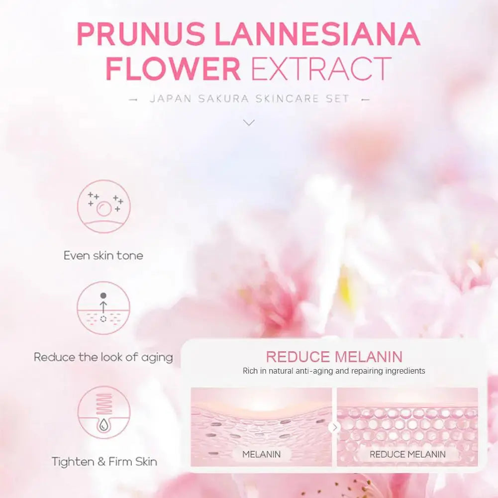Extrait de fleur de cerisier Sakura